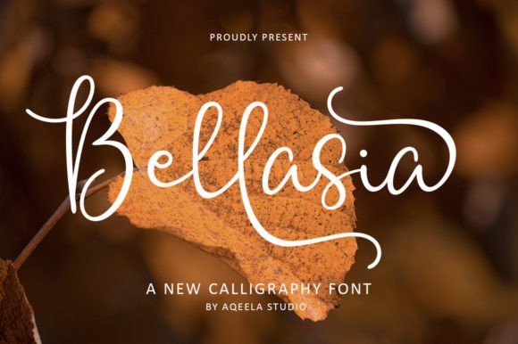 Bellasia: The Elegant Script Font for Modern Web Design