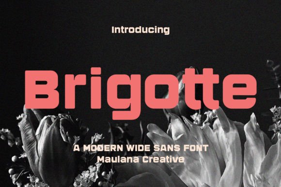 Brigotte: A Designer's Honest Review for Real-World Projects